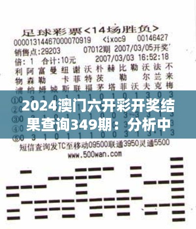 2024澳门六开彩开奖结果查询349期：分析中奖号码分布