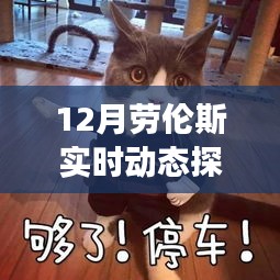 12月劳伦斯实时动态探头最新进展，引领技术革新，实时探测再升级