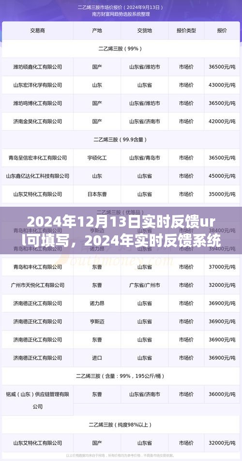 2024实时反馈系统升级，开启URL监控与优化新纪元