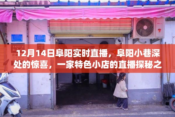 阜阳小巷深处的特色小店直播探秘之旅