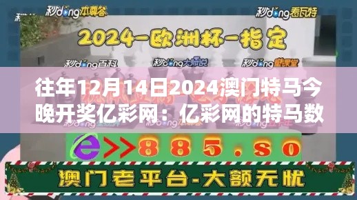 往年12月14日2024澳门特马今晚开奖亿彩网：亿彩网的特马数据分析