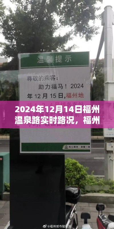 福州温泉路实时路况播报，2024年12月14日路况详解（小红书版）