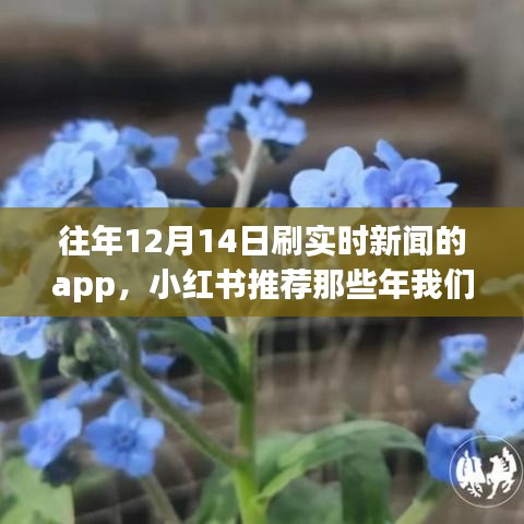 历年十二月十四日实时新闻APP精彩回顾，小红书推荐与共同见证