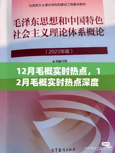 深度解析，12月毛概实时热点背景、事件、影响与时代地位