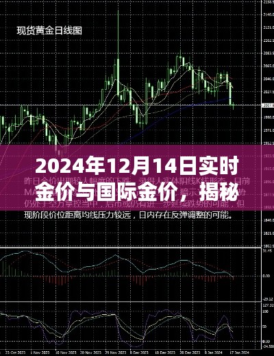 揭秘金价奥秘，深度解析2024年12月14日实时金价与国际金价走势。