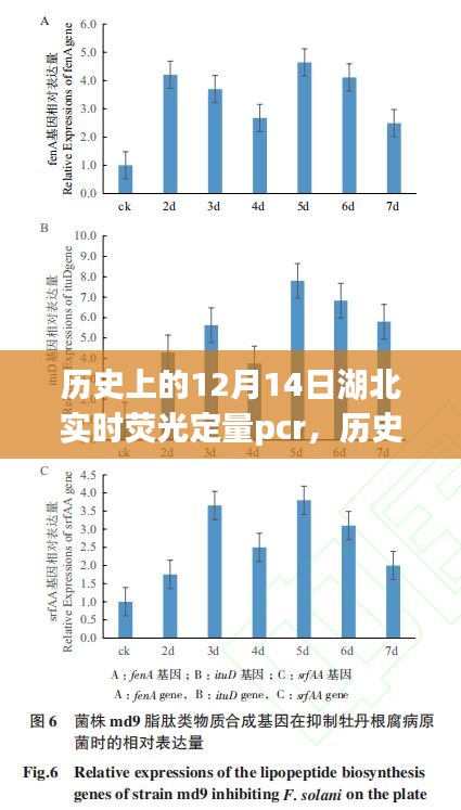 历史上的12月14日湖北实时荧光定量PCR技术深度探讨与探讨日湖北实时荧光定量PCR技术进展纪实