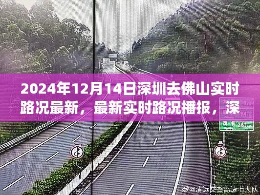 2024年12月14日深圳至佛山实时路况播报及路线分析