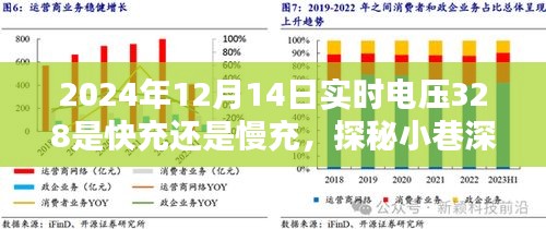 探秘小巷深处的电力奥秘，揭秘隐藏版快充小店的实时电压与充电速度之谜