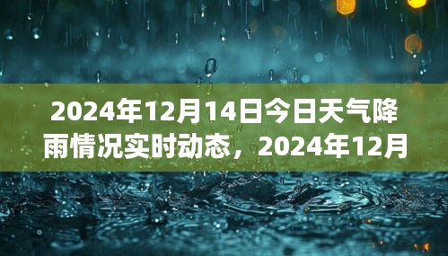 雨幕下的城市景象，实时解析2024年12月14日降雨动态