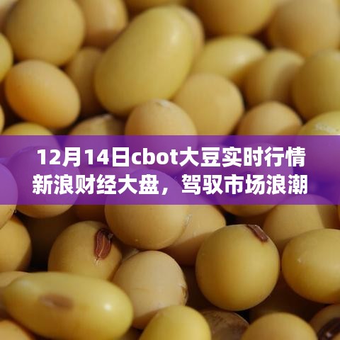 12月14日CBOT大豆实时行情下的励志航程，学习变化成就自信与辉煌