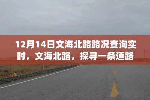 文海北路实时路况变迁，繁忙都市中的探寻之路