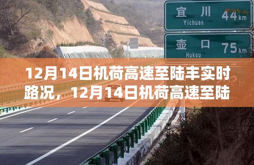 12月14日机荷高速至陆丰实时路况详解，行车指南与路况解析