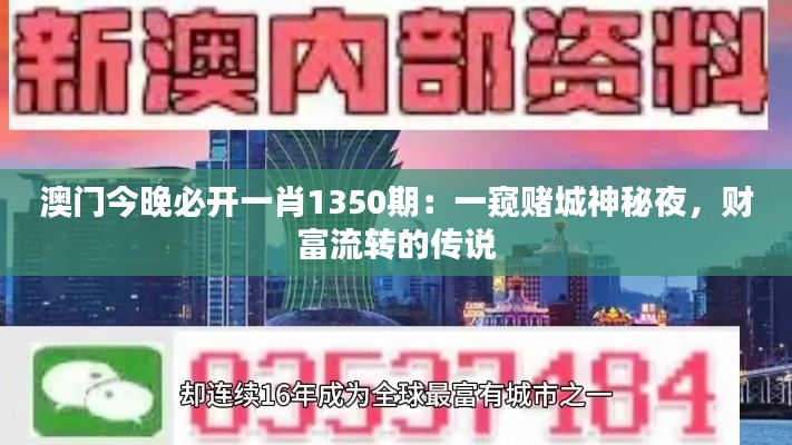 澳门今晚必开一肖1350期：一窥赌城神秘夜，财富流转的传说