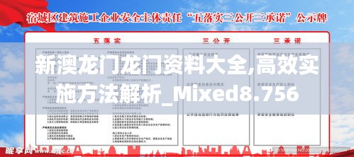 新澳龙门龙门资料大全,高效实施方法解析_Mixed8.756