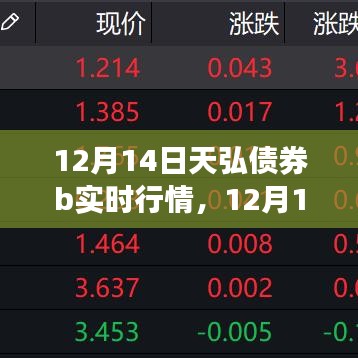 12月14日天弘债券B实时行情详解，从入门到进阶的分析指南