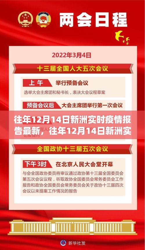 往年12月14日新洲实时疫情报告最新动态，共筑健康防线