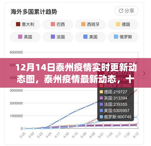 泰州疫情最新动态解读，实时更新数据（十二月十四日）