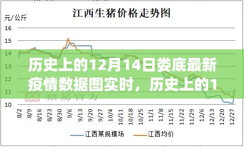 历史上的12月14日娄底最新疫情数据实时解读，特性、体验与目标用户分析全解析