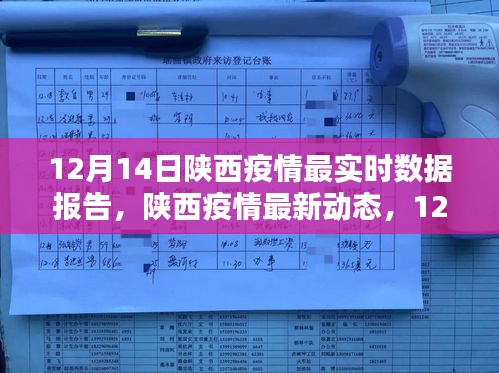 陕西疫情最新动态解析，12月14日最实时数据报告及疫情现状分析