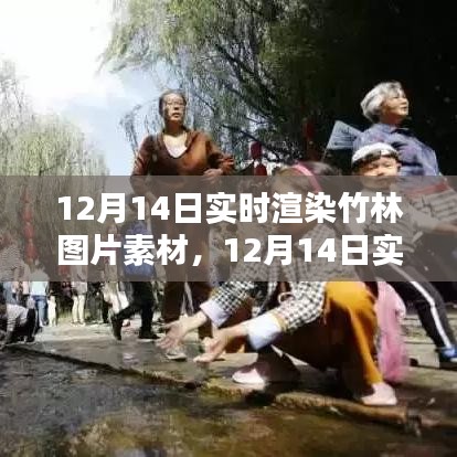 12月14日实时渲染竹林图片素材技术探讨与观点阐述，素材与技术结合的新视角