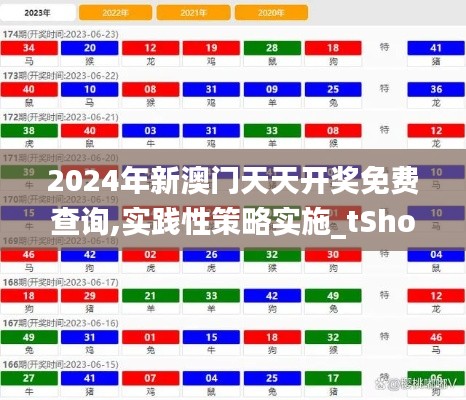 2024年新澳门天天开奖免费查询,实践性策略实施_tShop7.924