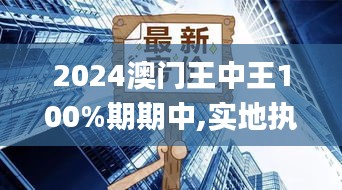 2024澳门王中王100%期期中,实地执行考察数据_5DM7.136