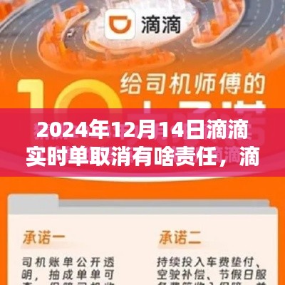 滴滴出行实时订单取消责任解析与操作指南，2024年最新版指南（附取消责任详解）