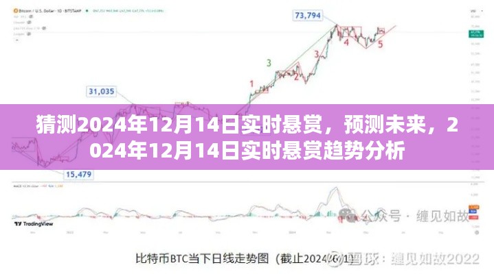 2024年12月14日实时悬赏趋势分析与预测