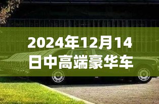 探秘豪华车秘境，2024年豪华车市场高端报价与车市之旅深度解析（附日期）