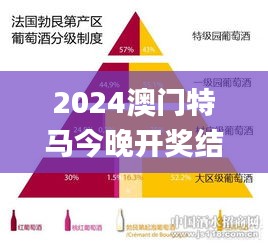 2024澳门特马今晚开奖结果出来了吗图片大全,高速响应解决方案_7DM12.988