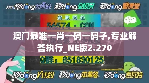 澳门最准一肖一码一码孑,专业解答执行_NE版2.270