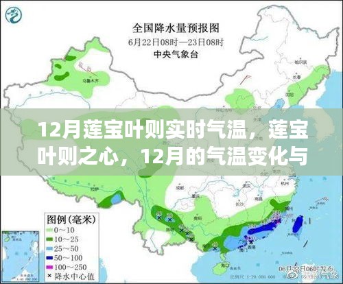 莲宝叶则之心，十二月气温下的自我超越励志之旅