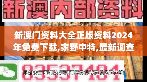 新澳门资料大全正版资料2024年免费下载,家野中特,最新调查解析说明_开发版110.884