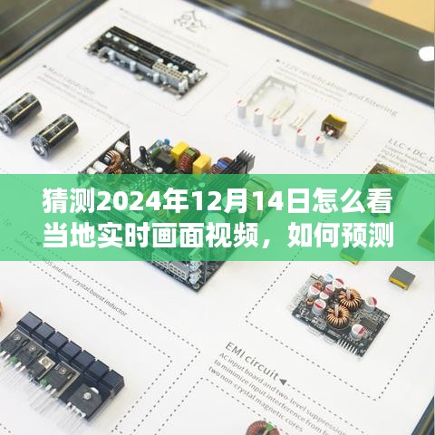 如何预测并观看2024年12月14日当地实时画面视频，初学者与进阶用户指南