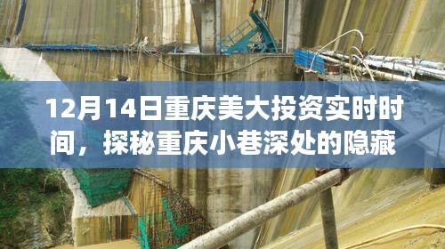 探秘重庆小巷深处的隐藏宝藏，美大投资日下的特色小店故事（12月14日）