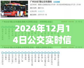 深度洞察，如何查看与解读2024年12月14日公交实时信息