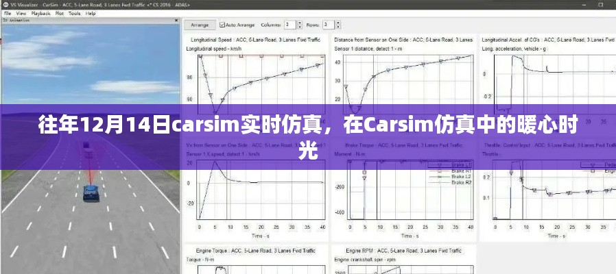 Carsim仿真中的暖心时光，历年12月14日实时仿真回顾