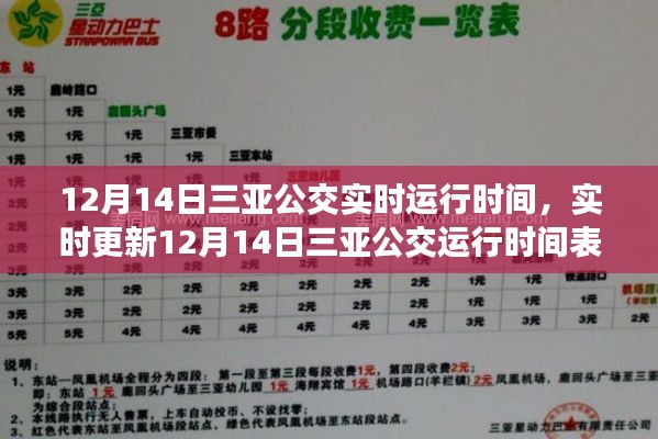 12月14日三亚公交实时运行时间表，轻松畅游三亚的必备指南