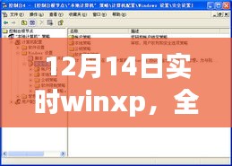 深度体验与评测，实时winxp 12月14日版全面介绍与特点分析