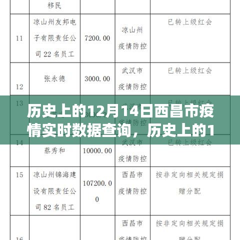 历史上的12月14日西昌市疫情数据回顾与实时查询洞察