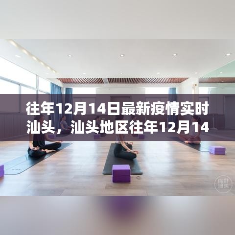 汕头地区往年12月14日最新疫情防控指南，实时动态与实用建议供初学者与进阶用户参考