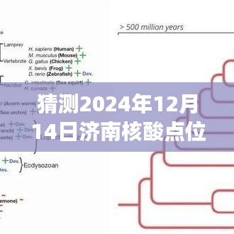 济南核酸点位实时查询背后的励志之旅，预测未来，掌握变化，超越自我。