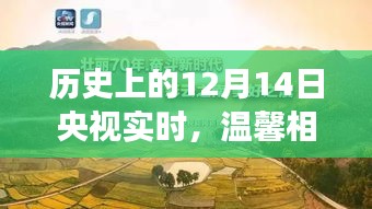 央视直播日下的暖心故事，历史上的那些温馨时刻——12月14日回顾