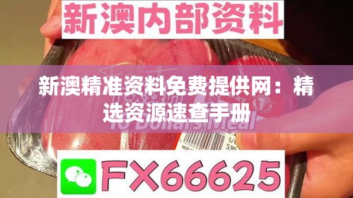 新澳精准资料免费提供网：精选资源速查手册