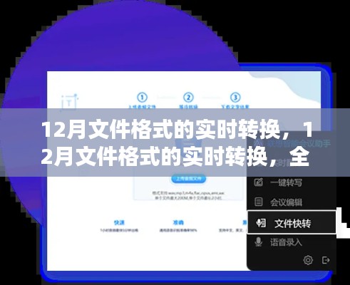 全面评测与介绍，12月文件格式的实时转换指南