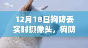 励志狗狗守护之旅，狗防丢实时摄像头与学习成长之路