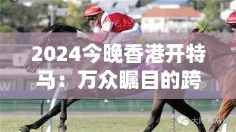 2024今晚香港开特马：万众瞩目的跨年马术盛典