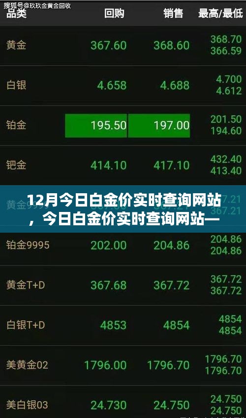 掌握白金价格动态，今日白金价实时查询网站