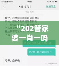 “202管家婆一肖一吗：高效家庭财务管理助手”