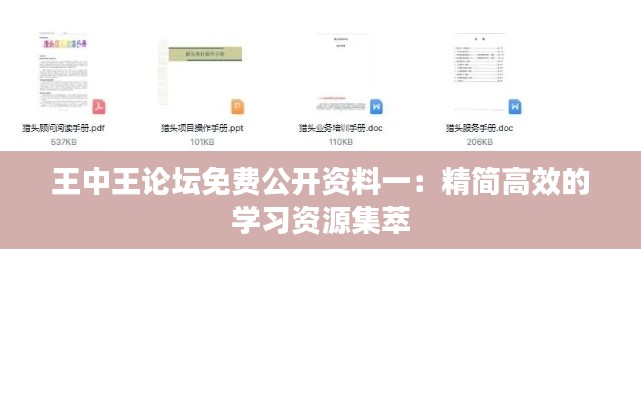 王中王论坛免费公开资料一：精简高效的学习资源集萃